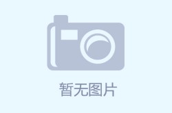 帕德博恩逆转沃尔夫斯堡成功升级德甲新篇章即将开启